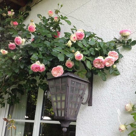 Вілла Le Petit Val Rose Villennes-sur-Seine Екстер'єр фото