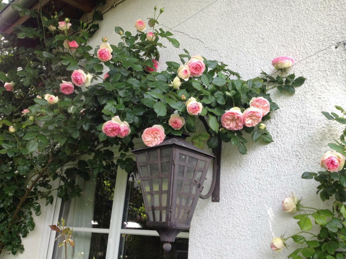 Вілла Le Petit Val Rose Villennes-sur-Seine Екстер'єр фото